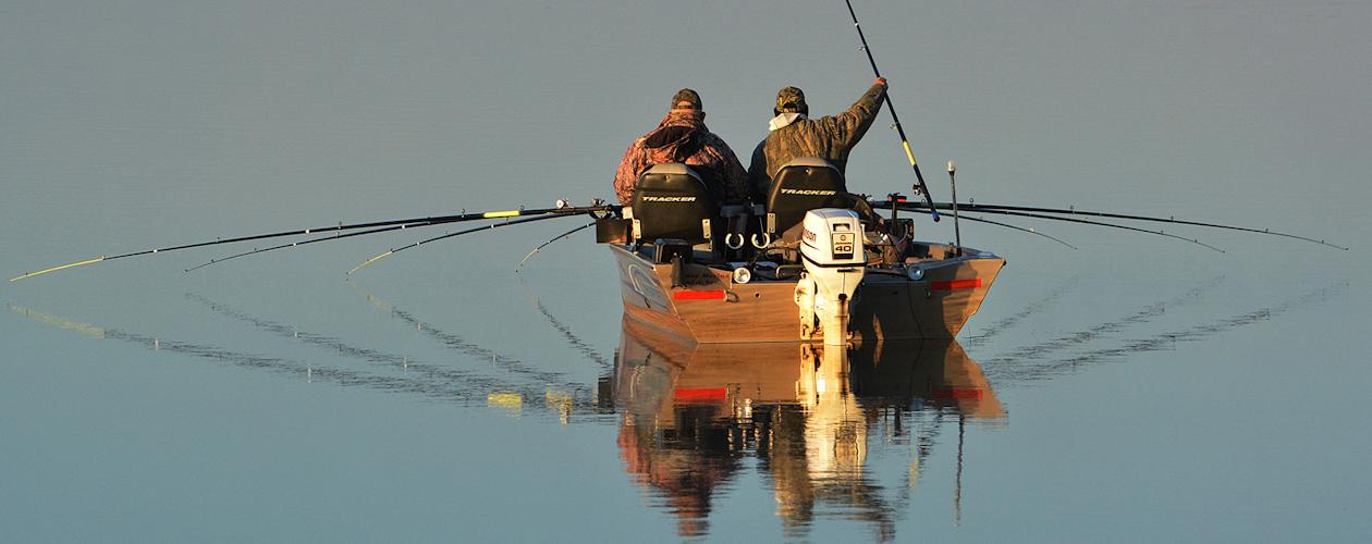 Steve McCadams' Fishing Report for Kentucky Lake